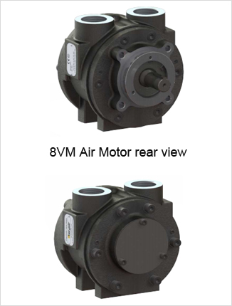 Vane Motors